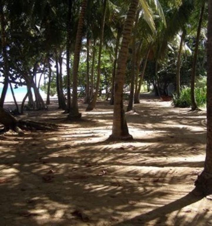 Posada Colonial Beach Villas سان خوان المظهر الخارجي الصورة